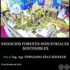 NEGOCIOS FORESTO-INDUSTRIALES SOSTENIBLES - Ing. Agr. FERNANDO DAZ SHENKER - 19 de Octubre de 2016